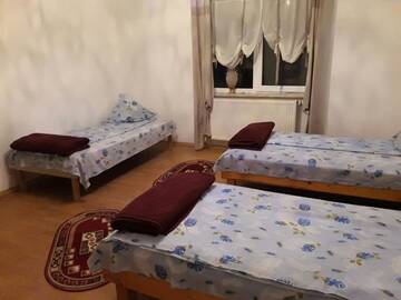 Фото номера Трехместный номер с собственной ванной комнатой Гостевой дом Perla Neagră Lotus Spa г. Câineni-Băi 25